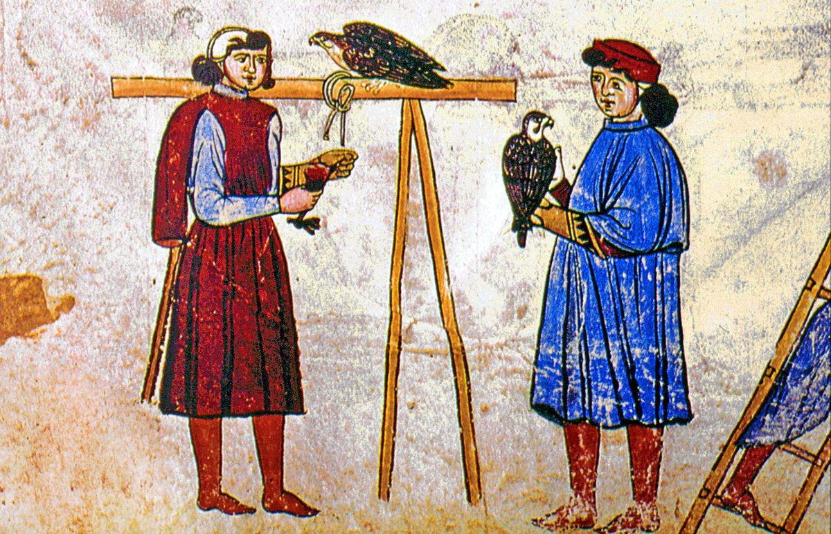 De Arte venandi cum avibus adlı kitaptan şahinlerin kuş budu ile beslenmesini gösteren bir minyatür (Gabrieli, s. 108)