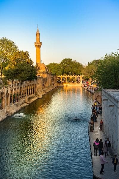 WhatsApp Görsel 2025-03-23 saat 22.54.58_ab1370c2.jpg