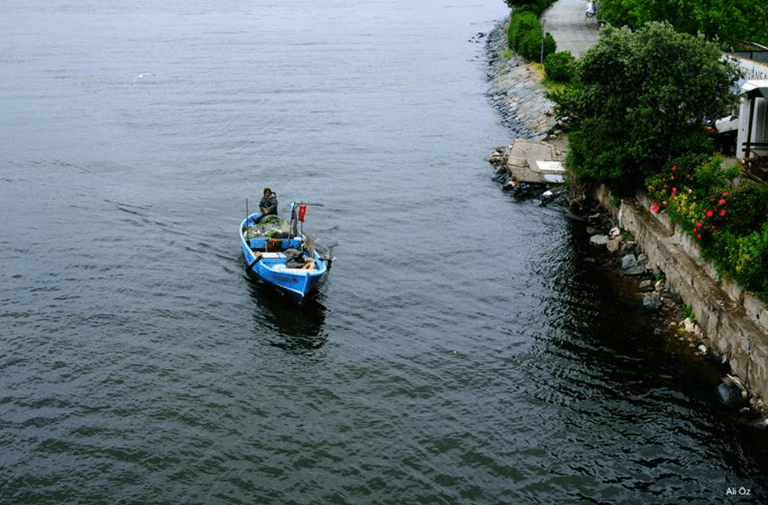 Ekran görüntüsü 2025-04-09 115201.png