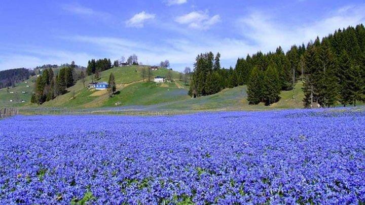 kadıralak-yaylası-1.jpg