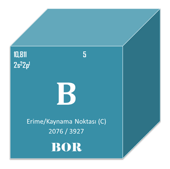 boren5.png