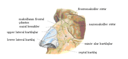 Ekran görüntüsü 2025-05-06 181910.png