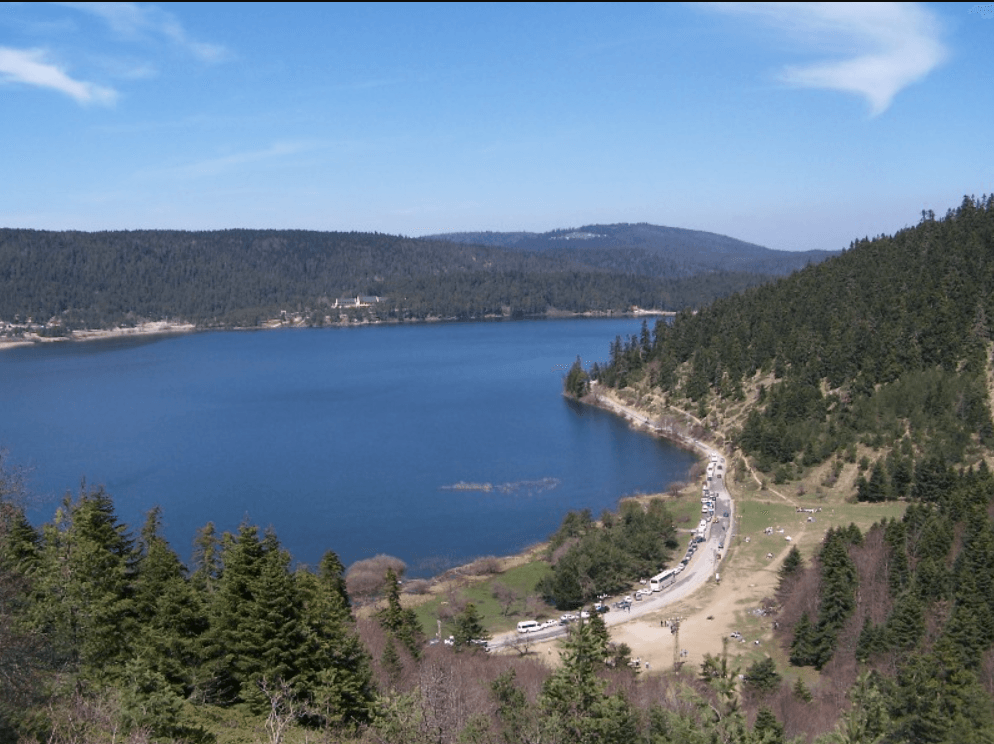 Ekran görüntüsü 2025-05-31 122525.png