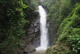 IMG_4127.jpeg