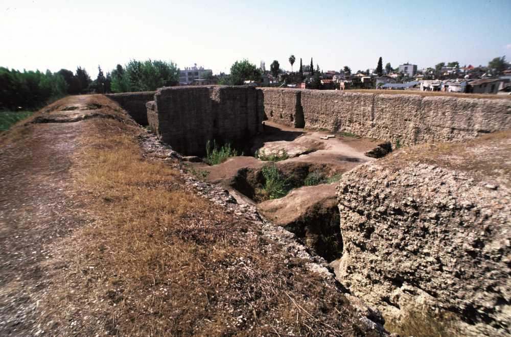 donuktas.jpg