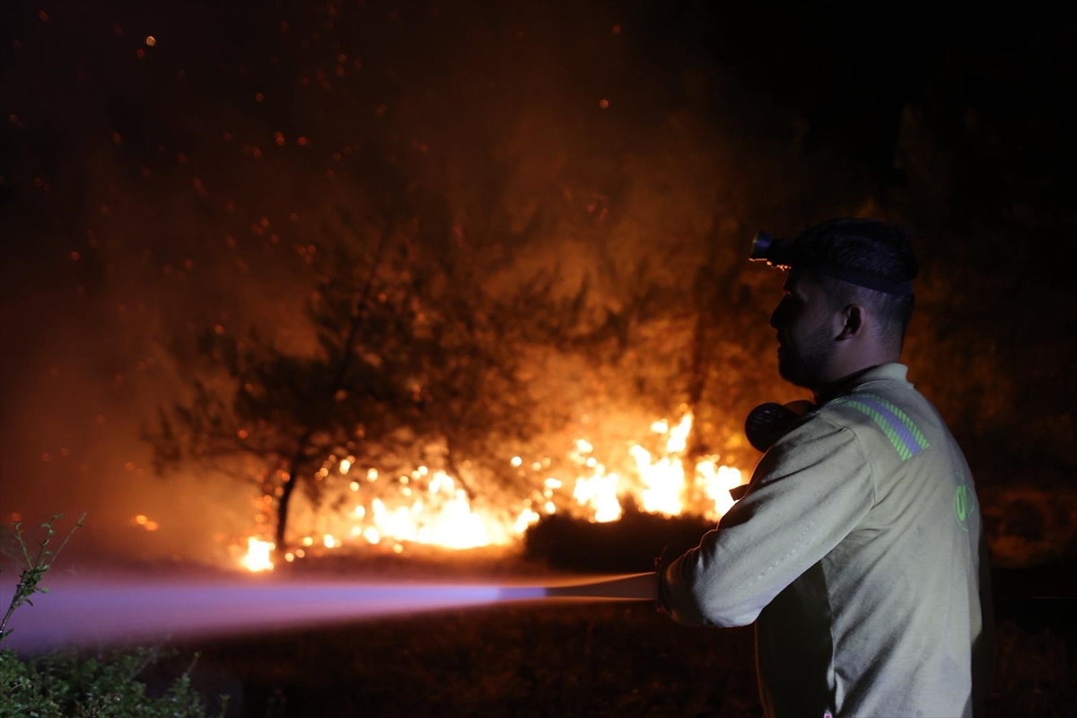 Bursa Orman Yangınları (Temmuz 2025) image