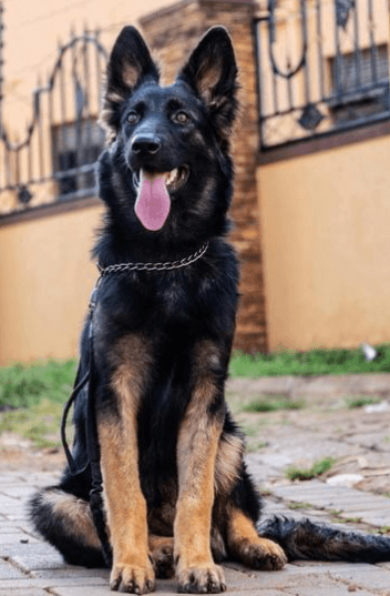 Снимок экрана 2026-03-12 150051.png