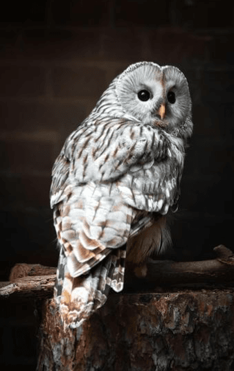 Снимок экрана 2026-03-13 204931.png